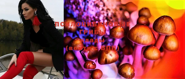 прущие грибы Верея