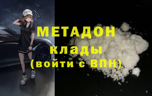 прущие грибы Верея
