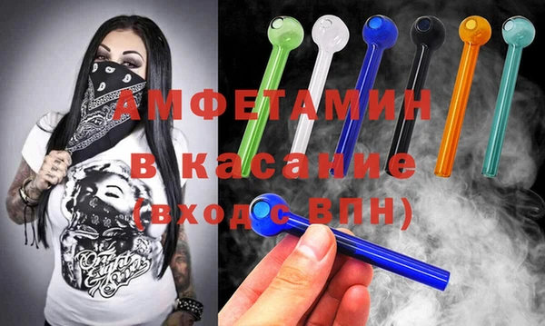 прущие грибы Верея