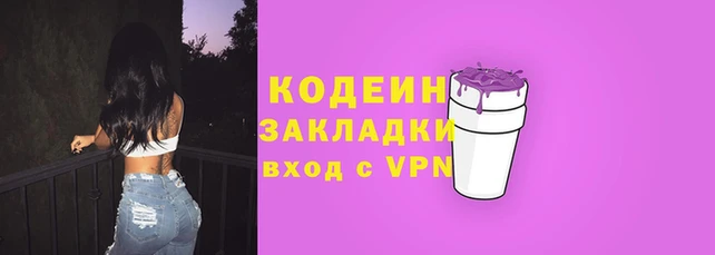 прущие грибы Верея