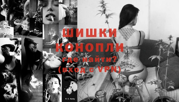 прущие грибы Верея