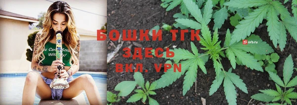 прущие грибы Верея