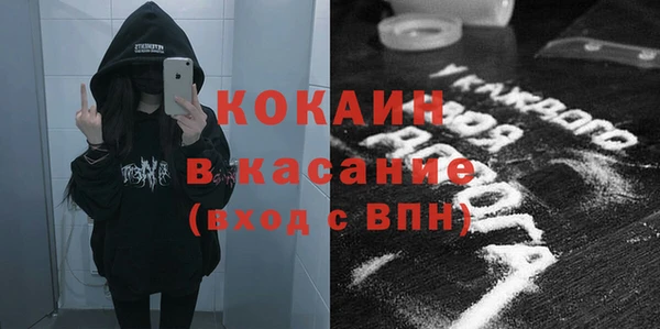 прущие грибы Верея