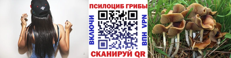 Галлюциногенные грибы ЛСД  что такое   Заречный 